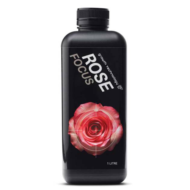 Rose Focus 1L