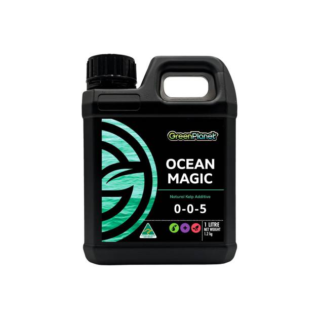 Ocean Magic